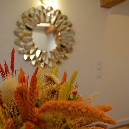Charmant Appartement - Proche Chateau Cite Carcassonne Esterno foto