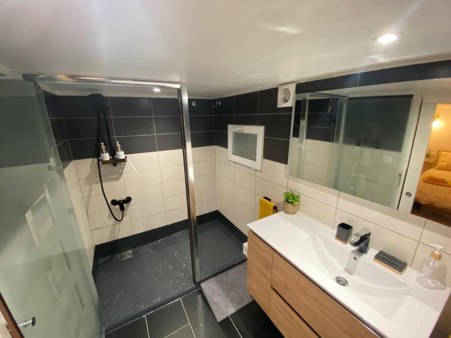 Charmant Appartement - Proche Chateau Cite Carcassonne Esterno foto