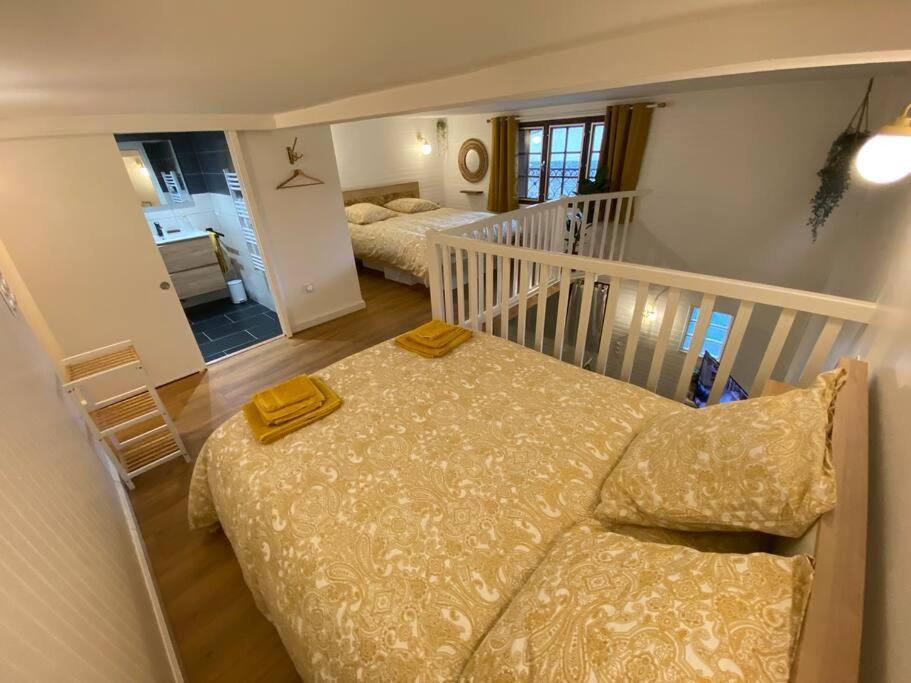 Charmant Appartement - Proche Chateau Cite Carcassonne Esterno foto