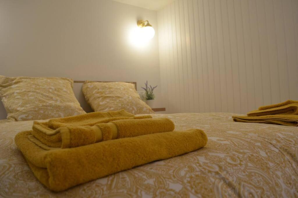 Charmant Appartement - Proche Chateau Cite Carcassonne Esterno foto