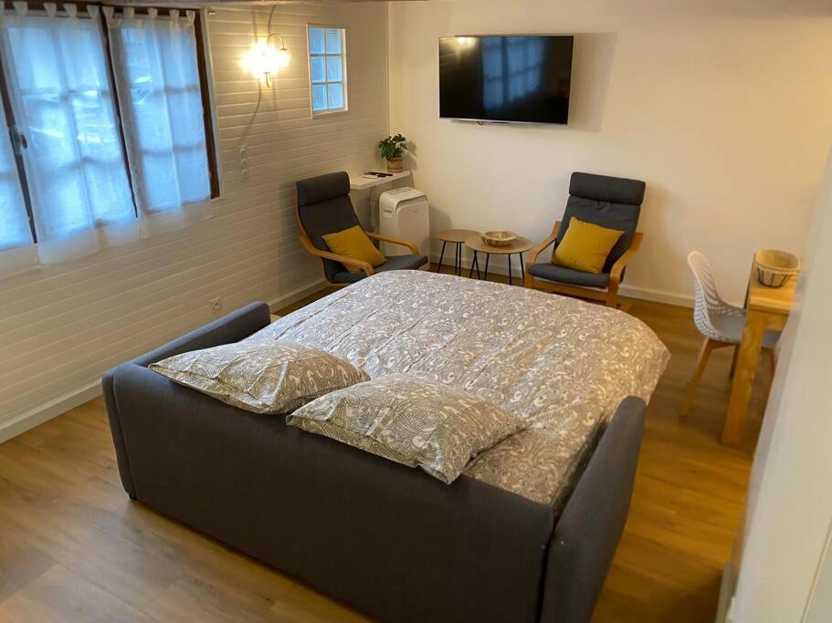 Charmant Appartement - Proche Chateau Cite Carcassonne Esterno foto