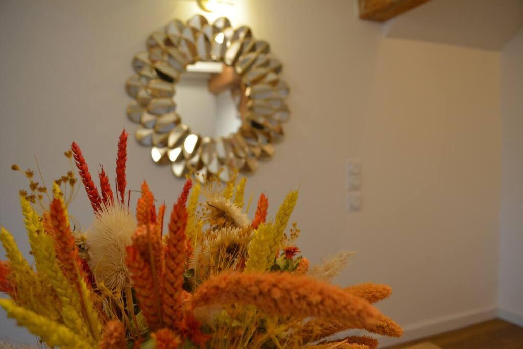 Charmant Appartement - Proche Chateau Cite Carcassonne Esterno foto