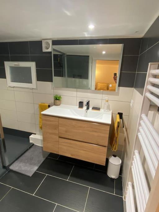 Charmant Appartement - Proche Chateau Cite Carcassonne Esterno foto